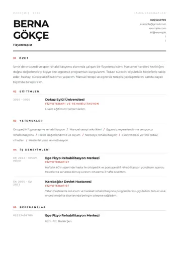 Fizyoterapist Cv Örnekleri cv indir
